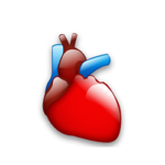 Cardiology